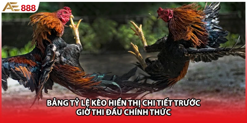 Bảng tỷ lệ kèo hiển thị chi tiết trước giờ thi đấu chính thức
