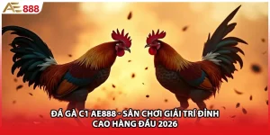 Đá Gà C1 AE888 - Sân Chơi Giải Trí Đỉnh Cao Hàng Đầu 2026