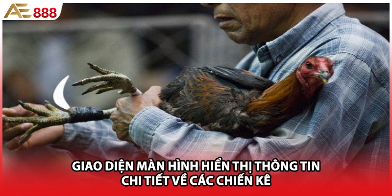 Giao diện màn hình hiển thị thông tin chi tiết về các chiến kê