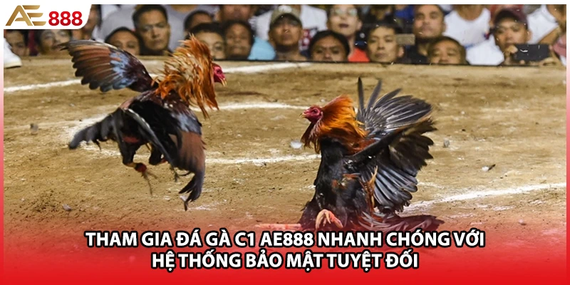 Tham gia đá gà C1 AE888 nhanh chóng với hệ thống bảo mật tuyệt đối
